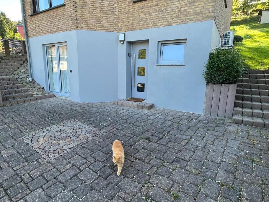 Gemuetliches Feriendomizil*Eifel* Villa Bad Muenstereifel Buitenkant foto